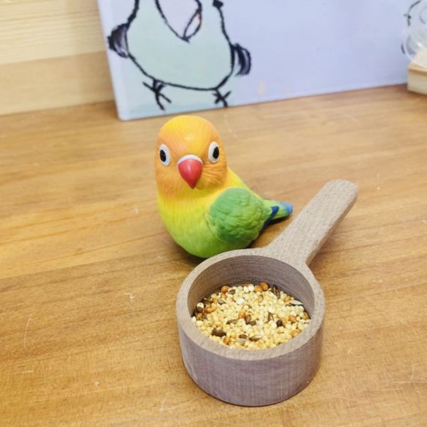 MY PET BIRD 胡桃木咖啡勺／飼料勺 / 調味料勺 鳥用飼料盒
鳥類飼料盒
鳥食盒
鳥兒專用飼料盒
鳥類喂食器
寵物鳥飼料盒
鳥類喂食盤
鳥類自動喂食器
鳥類小碗
鳥類喂食設備