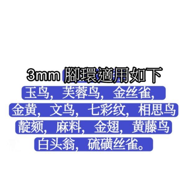 MY PET BIRD  飛失識別文鳥腳環 相認數字文鳥腳環
保障識別文鳥腳環
安全數字辨識腳環
飛失識別文鳥腳環
相認保護文鳥腳環
數字辨識飛失防護環
萬一飛失識別腳環
安全保障文鳥腳環
飛失回歸數字腳環
保護識別文鳥腳環