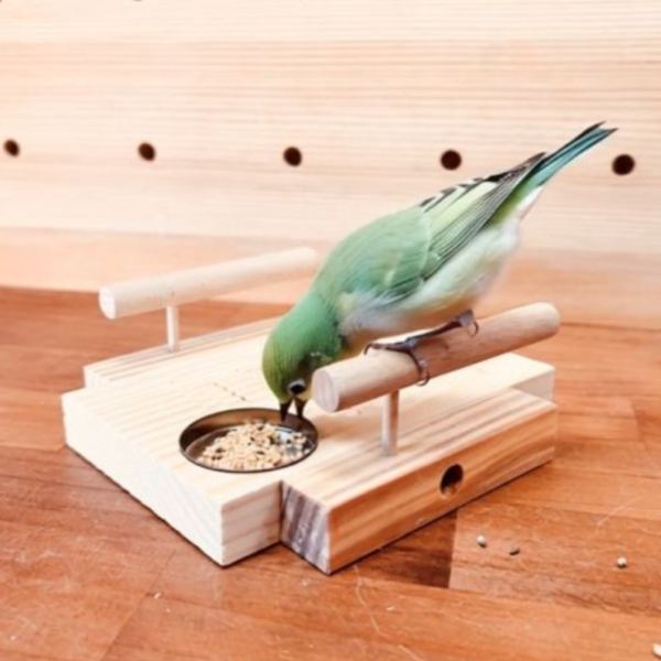 W799A 殘疾鳥專用刻紋站台｜提供穩固的平台和安全感 殘疾鳥
專用刻紋站台
刻紋站台
穩固平台
安全感
久站不穩鳥寶
防滑站台
紋路設計
特殊設計站台
照顧殘疾鳥寶