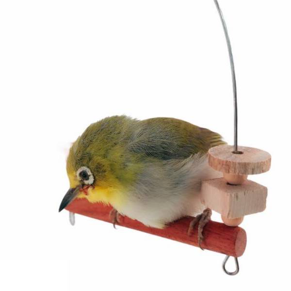MY PET BIRD  迷你鞦韆設計綠繡眼專用｜簡潔時尚的不銹鋼支撐 文鳥咬串 鸚鵡玩具綠繡眼、迷你鞦韆、不銹鋼支撐、時尚設計、咬物選擇、寵物鳥娛樂