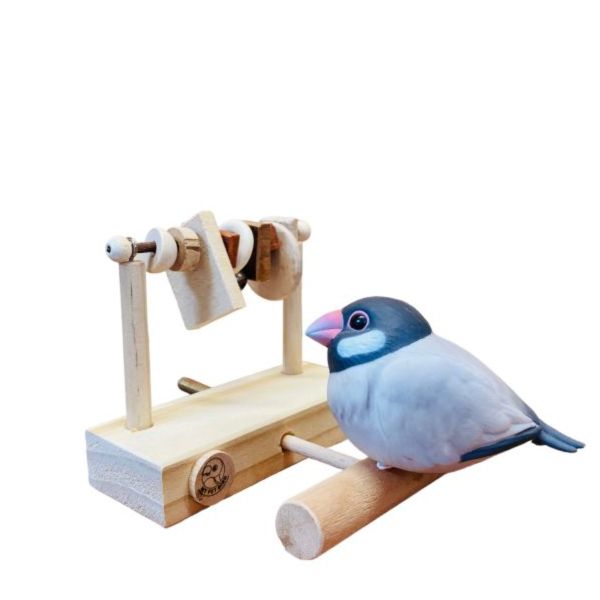 MY PET BIRD 綠繡眼迷你遊戲台 文鳥站台 bird perch stand
文鳥站架 Bird stand
文鳥站棍　Bird Perch
文鳥遊樂場 Bird Playground
文鳥鳥玩具 Parrot toys
文鳥鳥用品 bird products
文鳥攀爬繩 Climbing rope
文鳥梯子 ladde