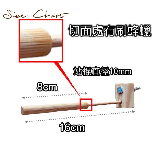 MY PET BIRD 迷你竹站棍 綠繡眼訓練工具
竹質站棍
小腳訓練器材
直徑10mm竹棍
平衡訓練工具
鳥兒站棍模擬
樹枝晃動感覺
綠繡眼運動訓練器具
綠繡眼腳部力量訓練
竹製訓練棍具