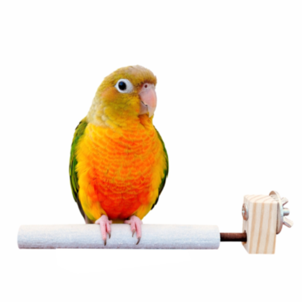 w809A 整圈磨爪站棍 鳥用磨爪站棍
鳥類爪磨石
鳥類磨爪玩具
鳥用爪磨設備
鳥類爪磨訓練工具
鳥類磨爪棒
鳥類爪磨架
鳥爪保健產品
鳥類磨爪支架
鳥類爪磨棒