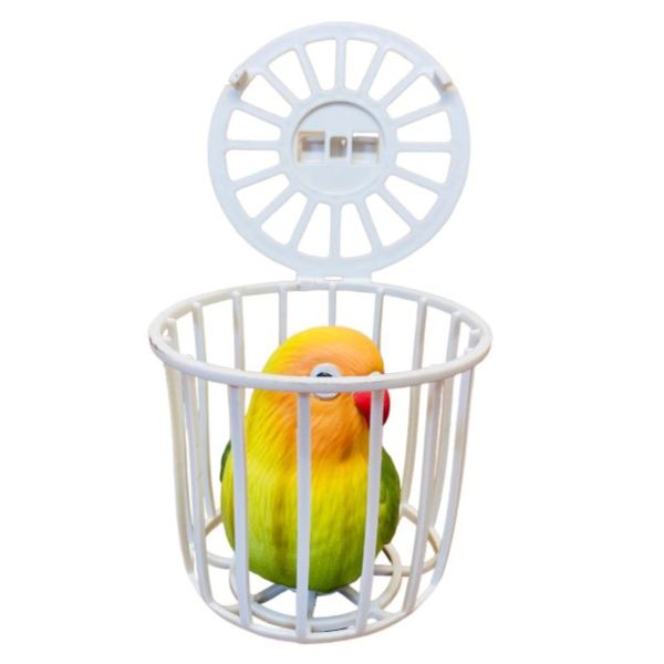 MY PET BIRD  鳥用果蔬籃 鳥類果蔬籃
鳥兒食物供應籃
鳥類水果蔬菜器皿
新鮮食物籃子
鳥類營養補充器
鳥用食物盛放器
天然鳥類飲食工具
健康鳥類食物籃
方便鳥類飲食器具
鳥類食物分配容器