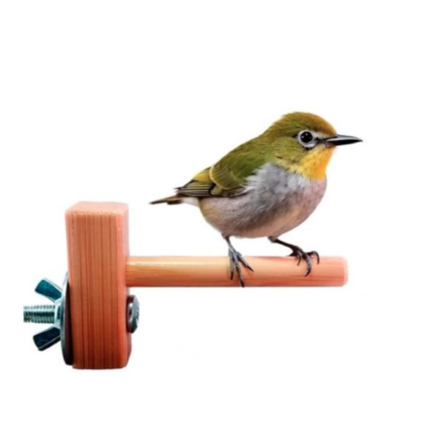 MY PET BIRD 迷你竹站棍 綠繡眼訓練工具
竹質站棍
小腳訓練器材
直徑10mm竹棍
平衡訓練工具
鳥兒站棍模擬
樹枝晃動感覺
綠繡眼運動訓練器具
綠繡眼腳部力量訓練
竹製訓練棍具