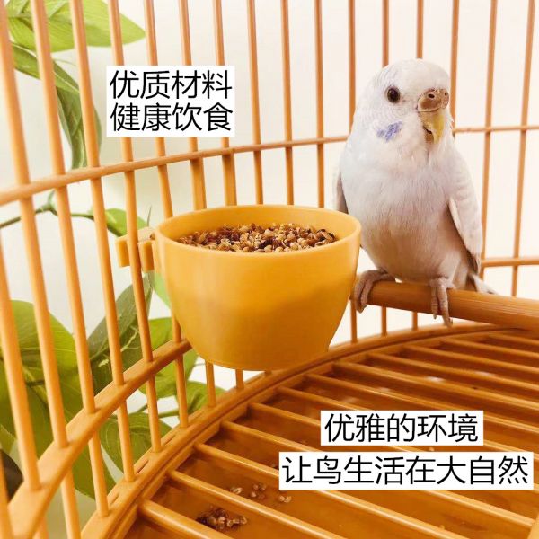 MY PET BIRD 基本款鳥用飼料盒 / 飼料餵食盒 鳥用飼料盒
基本款飼料盒
鳥類食物盒
簡易飼料盒
鳥籠飼料盒
寵物鳥飼料容器
鳥類飲食器
鳥類自動餵食器
無需安裝的飼料盒
經濟實惠的鳥用飼料盒