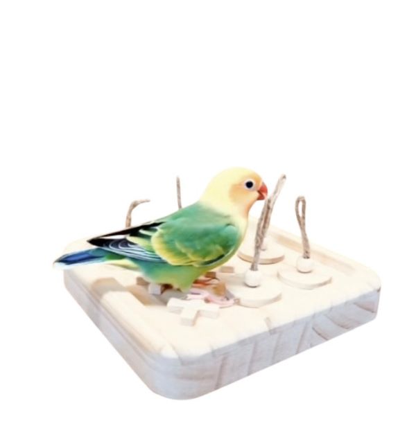 W067 鸚鵡玩具遊戲站台| 益智覓食解悶首選 鸚鵡玩具、遊戲站台鸚鵡站台
鸚鵡活動台
鳥類休息台
寵物休息訓練架
可調節高度鳥類休息台
天然木鳥類站立架
無毒寵物訓練玩具
多功能鸚鵡訓練用品
適合鸚鵡休息和站立練習的玩具