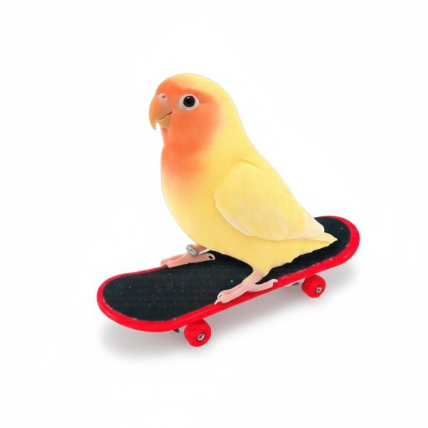 MY PET BIRD 為鸚鵡設計的迷你滑板車｜增添樂趣與活力 鸚鵡迷你滑板車
鸚鵡滑板腳下玩具
鸚鵡滑行遊戲玩具
鸚鵡滑板娛樂玩具
鸚鵡腳踏滑板車
鸚鵡滑板訓練玩具
鸚鵡滑行活動玩具
鸚鵡迷你滑行器具
鸚鵡滑板樂趣玩具
鸚鵡腳下運動滑板車