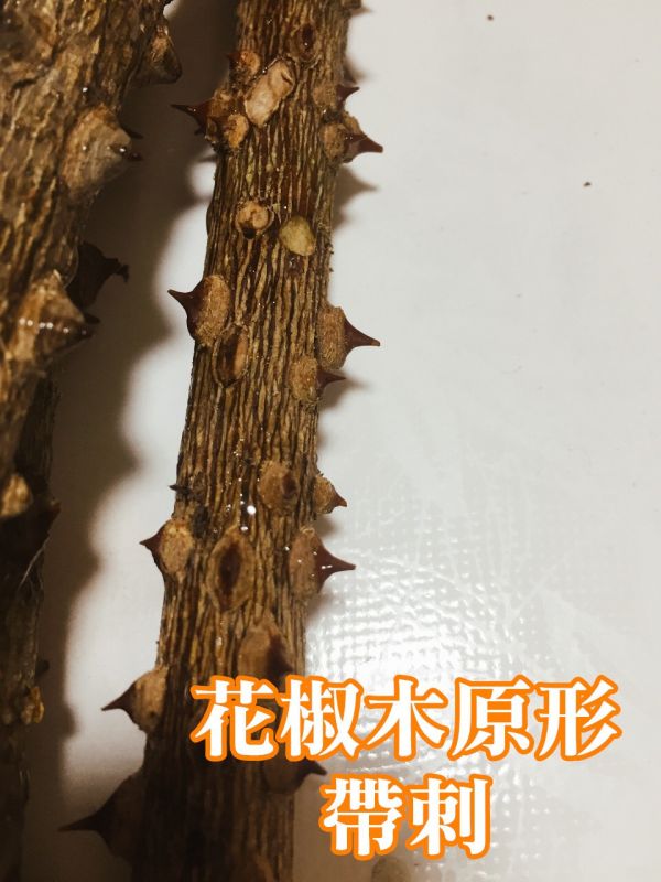MY PET BIRD  綠繡眼花椒木站棍 極細 綠繡眼站台 bird perch stand
綠繡眼站架 Bird stand
綠繡眼站棍　Bird Perch
綠繡眼遊樂場 Bird Playground
綠繡眼鳥玩具 Parrot toys
綠繡眼鳥用品 bird products
綠繡眼攀爬繩 Climbing rope
綠繡眼梯子 ladder