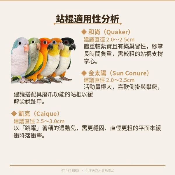 199免運 鸚鵡站台
鸚鵡活動台
鳥類休息台
寵物休息訓練架
可調節高度鳥類休息台
天然木鳥類站立架
無毒寵物訓練玩具
多功能鸚鵡訓練用品
適合鸚鵡休息和站立練習的玩具