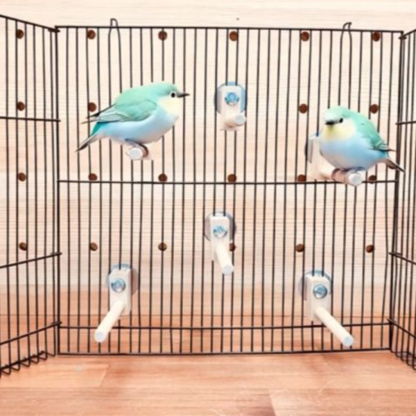 MY PET BIRD 迷你竹站棍 綠繡眼訓練工具
竹質站棍
小腳訓練器材
直徑10mm竹棍
平衡訓練工具
鳥兒站棍模擬
樹枝晃動感覺
綠繡眼運動訓練器具
綠繡眼腳部力量訓練
竹製訓練棍具