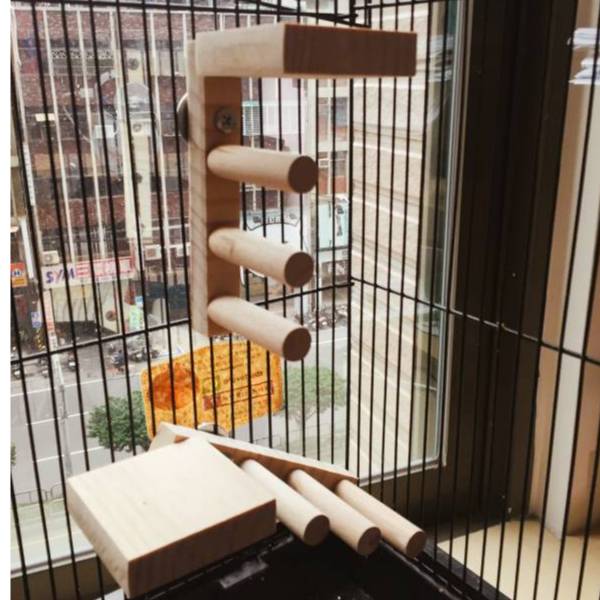 MY PET BIRD 提升鳥籠體驗！創意無限的雙向梯產品 鳥用梯子
小型鳥用梯子
鳥類攀爬梯
鳥籠玩具
天然竹製鳥用梯子
鳥類運動訓練用品
安全可靠鳥用梯子
易於安裝的鳥用梯子
適用於不同大小的鳥籠
高品質鳥用梯子