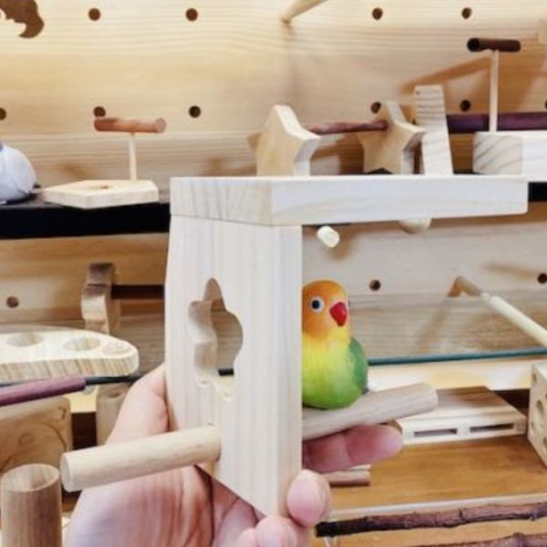 MY PET BIRD  小鸚鵡站台組 鸚鵡站台
鸚鵡活動台
鳥類休息台
寵物休息訓練架
可調節高度鳥類休息台
天然木鳥類站立架
無毒寵物訓練玩具
多功能鸚鵡訓練用品
適合鸚鵡休息和站立練習的玩具