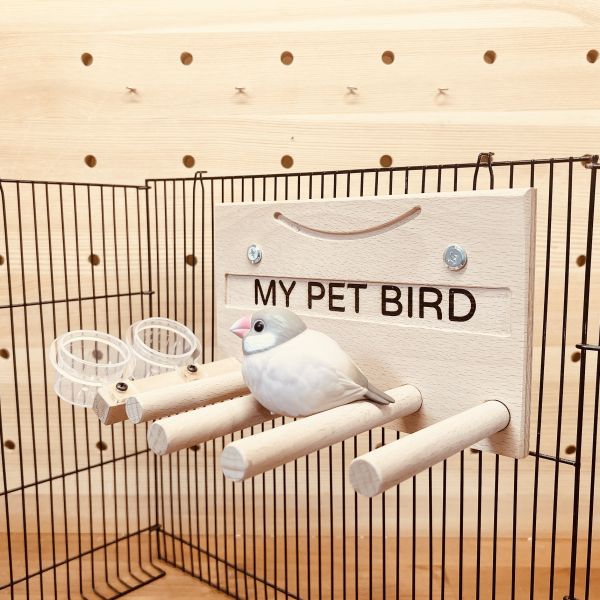 MY PET BIRD   無障礙的愛心呵護 文鳥小鸚鵡款 鳥類用品
殘疾鳥站架
鳥友用品
活動食盒
鳥類飼料器
鳥寶站立器
專業鳥類配件
人性化鳥類用品
穩固支撐站架
無障礙鳥類用品
鳥類健康產品
鳥類飲水器
鳥類玩具
輕鬆移動鳥站架
鳥類訓練用品