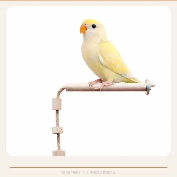 W602 鸚鵡籠內攀爬繩｜空降䌫繩 鸚鵡攀爬繩
鸚鵡娛樂用品
鸚鵡運動用品
天然棉繩鸚鵡攀爬繩
防咬鸚鵡攀爬繩
安全鸚鵡攀爬繩
易清潔鸚鵡攀爬繩
寵物鳥攀爬訓練用品
適合各種大小鸚鵡的攀爬繩
高品質鸚鵡攀爬繩