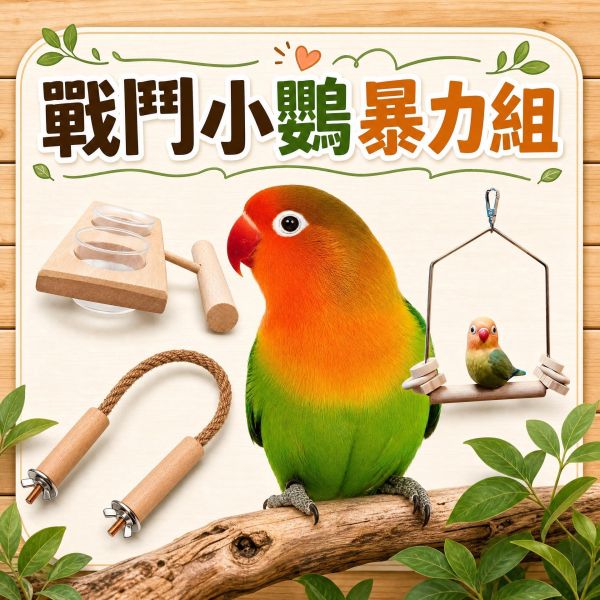Z104 戰鬥小鸚暴力組 8 件組｜小鸚牡丹專用鳥籠配件入門套裝 小鸚用品, 牡丹鸚鵡玩具, 戰鬥小鸚暴力組, 鸚鵡入門8件組, 鳥籠配件推薦, 鸚鵡磨砂站棍, 鸚鵡鞦韆, 鳥用自動飲水器, MY PET BIRD