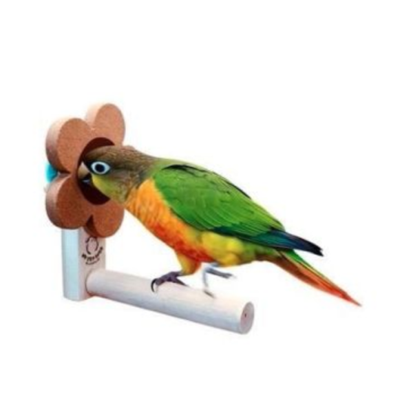 W878 是站棍也是玩具！舒緩壓力、滿足啃咬本能 防咬毛 玩具

鸚鵡解悶 玩具

防啄羽 玩具

鸚鵡磨爪 棒/玩具

鳥寶打發時間 玩具

鸚鵡自嗨 玩具

鳥籠 裝飾 玩具

鸚鵡 智力 開發 玩具