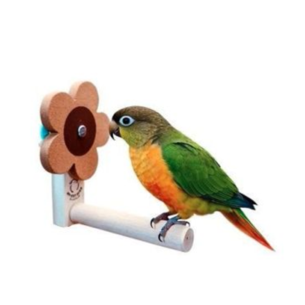 W878 是站棍也是玩具！舒緩壓力、滿足啃咬本能 防咬毛 玩具

鸚鵡解悶 玩具

防啄羽 玩具

鸚鵡磨爪 棒/玩具

鳥寶打發時間 玩具

鸚鵡自嗨 玩具

鳥籠 裝飾 玩具

鸚鵡 智力 開發 玩具