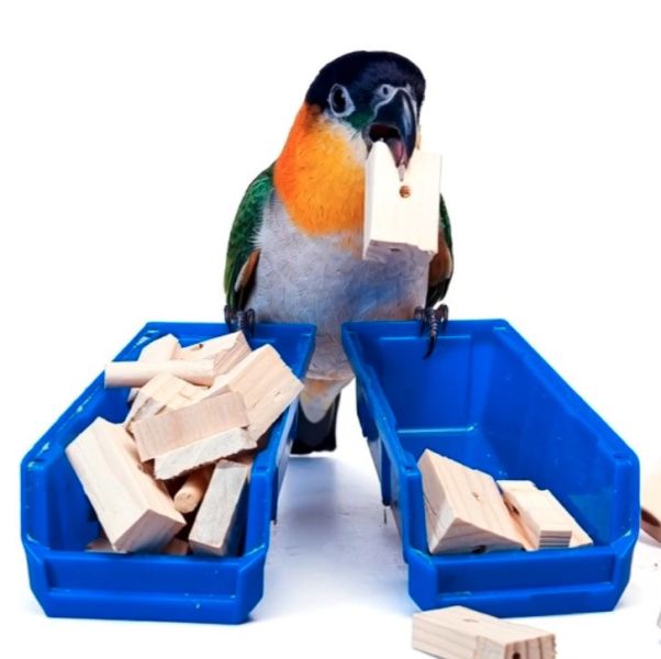 w099 原木的邊角料｜中型鸚鵡啃咬木塊 鸚鵡 啃木

鳥 玩具 DIY

天然 木塊

鸚鵡 玩具

邊角料