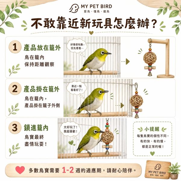 199免運 鸚鵡站台
鸚鵡活動台
鳥類休息台
寵物休息訓練架
可調節高度鳥類休息台
天然木鳥類站立架
無毒寵物訓練玩具
多功能鸚鵡訓練用品
適合鸚鵡休息和站立練習的玩具