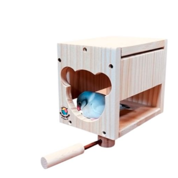 W474 小熊造型 / 鸚鵡小木屋 鳥用木窩
鳥居住用品
鳥類寄宿舍
天然木質鳥窩
鳥類棲息場所
無毒環保鳥窩
適合鳥類棲息的木製窩
室內外鳥類居住用品
手工製作鳥窩
鳥類庇護所