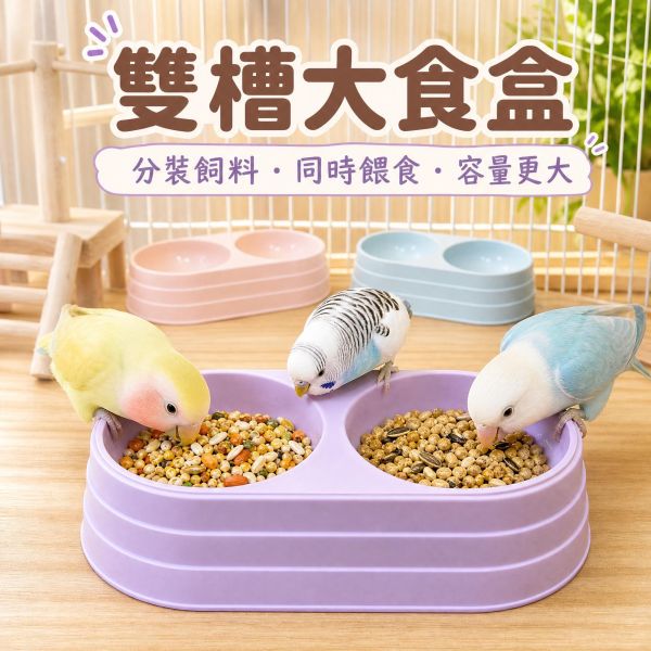Z072 馬卡龍粉嫩雙口碗｜寵物鳥與小動物防滑雙格飼料碗 Z072, 馬卡龍雙口碗, 寵物鳥雙口碗, 鸚鵡雙格餵食碗, 寵物防滑食盆, 鳥用飲食器, 小動物雙碗, 寵物水糧碗, 鳥用品現貨, MY PET BIRD