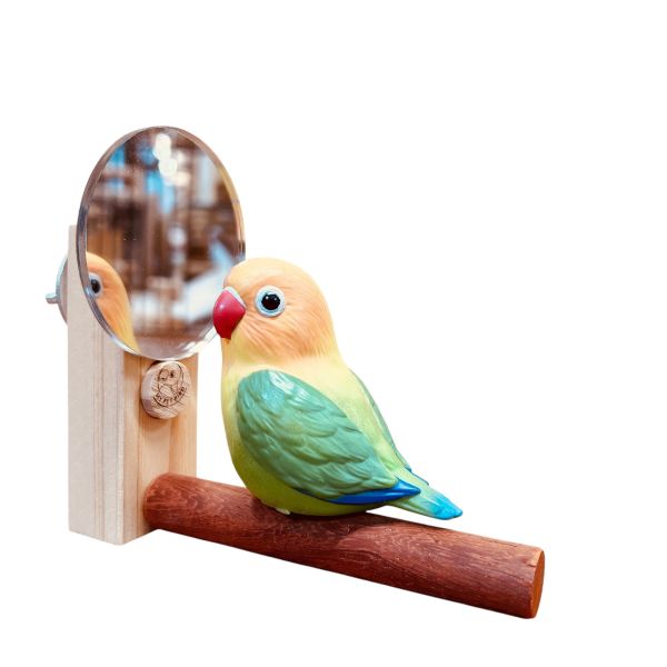 MY PET BIRD 小型鸚鵡圓鏡 寵物文創,鳥玩具,鸚鵡玩具,文鳥,玄鳳,和尚,虎皮,綠繡眼,凱克,寵物用品,寵物玩具,咬物