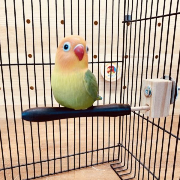 MY PET BIRD 特製曲線型紫光檀站棍 鳥類站立架
寵物站立訓練器材
鸚鵡活動訓練棒
可調節高度鳥類站立器材
天然木鳥類站立架
無毒寵物訓練玩具
多功能鸚鵡訓練用品
適合鸚鵡站立練習的玩具