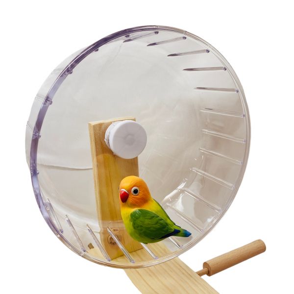 MY PET BIRD 鸚鵡跑輪 /寵物鳥運動器材 鸚鵡跑輪
寵物鳥跑輪
寵物鸚鵡運動設施
MY PET BIRD跑輪
鳥類運動器材
鳥類健康玩具
鳥類運動樂趣
鳥類休閒設施
鳥類活動站台
鸚鵡運動娛樂