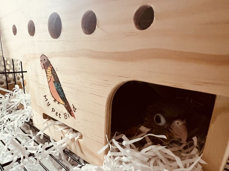 MY PET BIRD 長尾鸚鵡專用木屋 小鸚鵡木屋、隱密設計、通風口設計、鳥籠開口、新型木屋設計、鸚鵡用品、鳥寶舒適、安全木屋設計