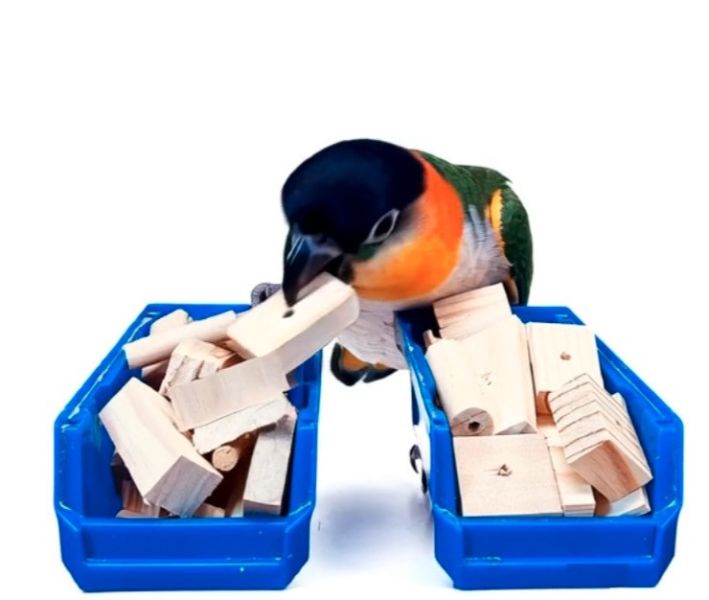 w099 原木的邊角料｜中型鸚鵡啃咬木塊 鸚鵡 啃木

鳥 玩具 DIY

天然 木塊

鸚鵡 玩具

邊角料