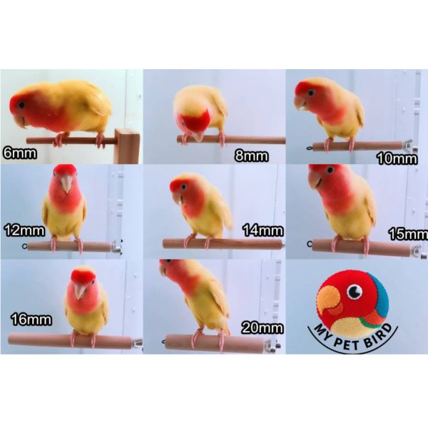 MY PET BIRD 櫸木站棍 棲木 站棍、站架、棲木、磨爪 、木棍、木棒鸚鵡站棍
鳥類站立架
寵物站立訓練器材
鸚鵡活動訓練棒
可調節高度鳥類站立器材
天然木鳥類站立架
無毒寵物訓練玩具
多功能鸚鵡訓練用品
適合鸚鵡站立練習的玩具