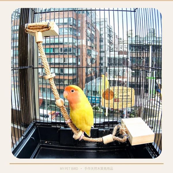 W721 空中纜繩 鸚鵡站台
鸚鵡活動台
鳥類休息台
寵物休息訓練架
可調節高度鳥類休息台
天然木鳥類站立架
無毒寵物訓練玩具
多功能鸚鵡訓練用品
適合鸚鵡休息和站立練習的玩具