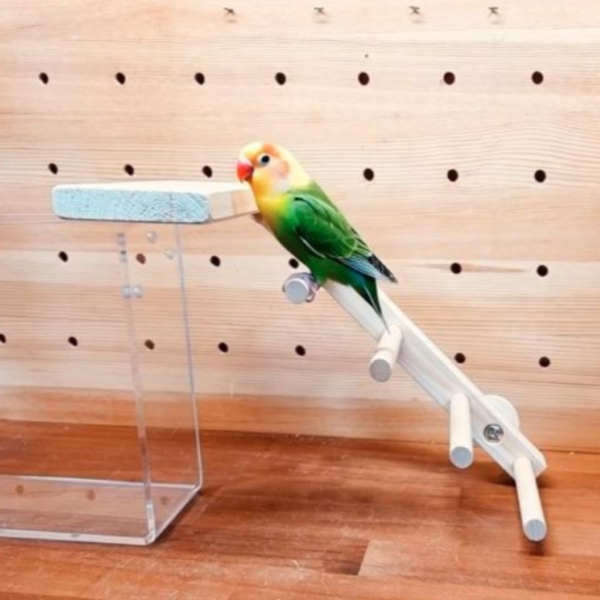 w718E 創意無限的雙向梯產品｜中型鸚鵡 鳥用梯子
小型鳥用梯子
鳥類攀爬梯
鳥籠玩具
天然竹製鳥用梯子
鳥類運動訓練用品
安全可靠鳥用梯子
易於安裝的鳥用梯子
適用於不同大小的鳥籠
高品質鳥用梯子