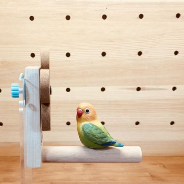 W878 是站棍也是玩具！舒緩壓力、滿足啃咬本能 防咬毛 玩具

鸚鵡解悶 玩具

防啄羽 玩具

鸚鵡磨爪 棒/玩具

鳥寶打發時間 玩具

鸚鵡自嗨 玩具

鳥籠 裝飾 玩具

鸚鵡 智力 開發 玩具