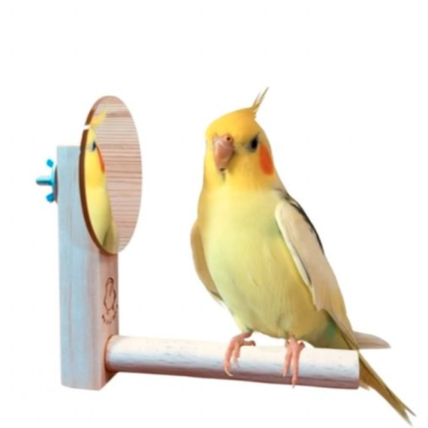 W829R 中型鸚鵡加大鏡面　站棍鏡子二合一　和尚鸚鵡 凱克 玄鳳 小太陽　 鳥用鏡子、鳥類玩具、視覺刺激、鳥類娛樂、互動玩具、心理刺激、社交模擬、健康心態、寵物鳥、愉悅體驗、愛護鳥類、實用產品
