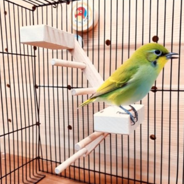 MY PET BIRD 提升綠繡眼鳥籠體驗！創意無限的雙向梯產品 鳥用梯子
小型鳥用梯子
鳥類攀爬梯
鳥籠玩具
天然竹製鳥用梯子
鳥類運動訓練用品
安全可靠鳥用梯子
易於安裝的鳥用梯子
適用於不同大小的鳥籠
高品質鳥用梯子