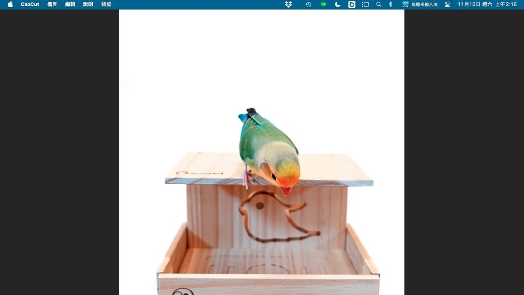 W468  多功能小型木屋 育雛老年與殘疾鳥寶的理想窩居設計 鳥屋木製鳥屋
小型鳥木屋寬口鳥窩文鳥鳥屋虎皮鸚鵡窩太平洋鸚鵡鳥巢愛情鳥鳥窩雙鳥同居鳥屋
通風鳥窩設計

全景視野鳥籠

安全感鳥屋

可鋪墊保暖鳥窩
加高圍牆鳥屋
防潑灑鳥食盆
無死角監測鳥巢