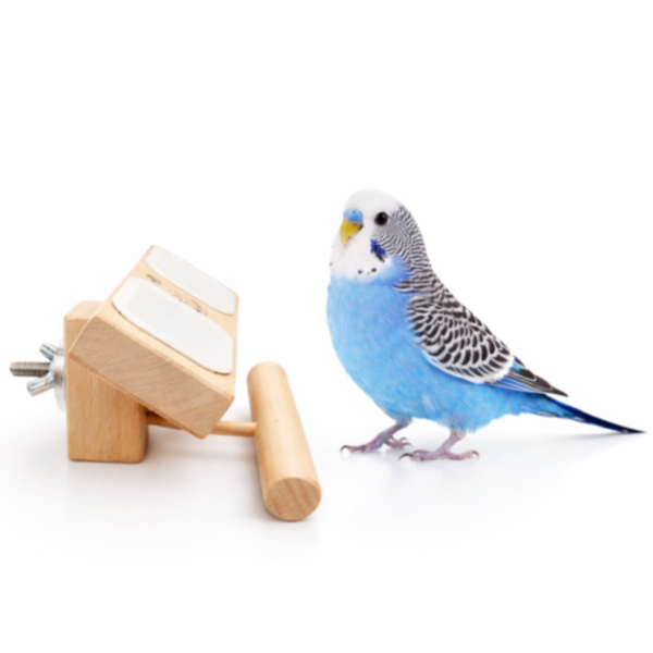 W395 為小型外籠設計「雙位一體」食盆站棍組 鳥類食物架：吸引尋找鳥類食物配件的人群。
中罝食物架：突顯產品的名稱和特點。
節省空間食物架：強調產品能夠善用空間的特點。
易清洗鳥食架：針對關注清潔和衛生的鳥類飼主。
不銹鋼活動食杯：突出產品配備的不銹鋼活動食杯的特點。
多功能鳥類架：強調產品具有多種功能的食物架。
寵物鳥休息場所：針對尋找提供舒適休息場所的寵物鳥飼主。
食物碎屑控制：強調產品能夠減少食物碎屑噴濺的特點。
鳥籠配