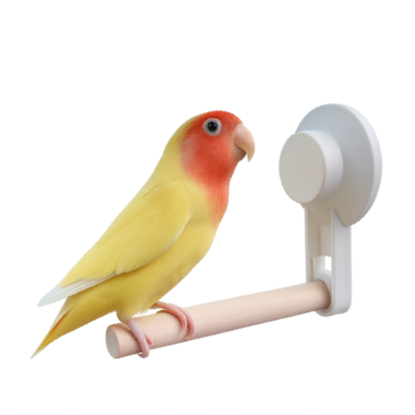 寵物鳥吸盤站架 吸盤式鳥站棍
鳥類活動站棍
吸盤式鳥類觀察器材
室內鳥類站棍
室外鳥類站棍
適用於鳥類的吸盤站棍