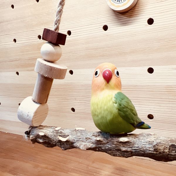 MY PET BIRD 花椒木鞦韆/為鸚鵡設計的天然木製鞦韆 花椒木鞦韆：為鸚鵡設計的天然木製鞦韆
健康鸚鵡玩具：花椒木鞦韆的保健特性滿足鸚鵡的需求
天然花椒木鞦韆：使用花椒木材製作的鞦韆玩具
花椒木鞦韆玩樂：提供鸚鵡健康娛樂的理想選擇
防腐花椒木鞦韆：經特殊處理的花椒木材製成,耐用且環保