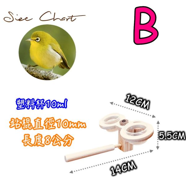 W353 圓籠寵物鳥食盒推薦 圓籠寵物鳥食盒、綠繡眼、小鸚鵡、不銹鋼食盒、寵物鳥用品、圓籠配件、鳥類飲食解決方案