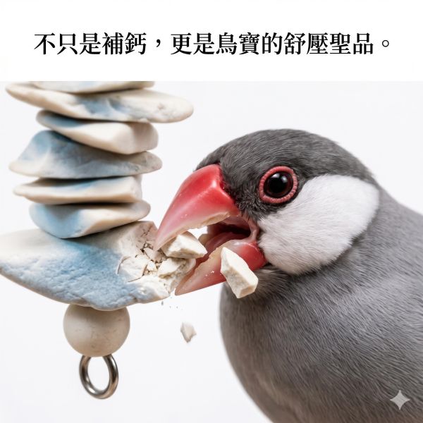 A063  墨魚骨迷你串 文鳥
營養補鈣
墨魚骨迷你串
鈣質補充
健康骨骼
羽毛健康
全面營養
安全食用
無害添加劑
口感豐富
食慾刺激
鳥類食品
專為文鳥設計
寵物鳥食品
高品質飼料