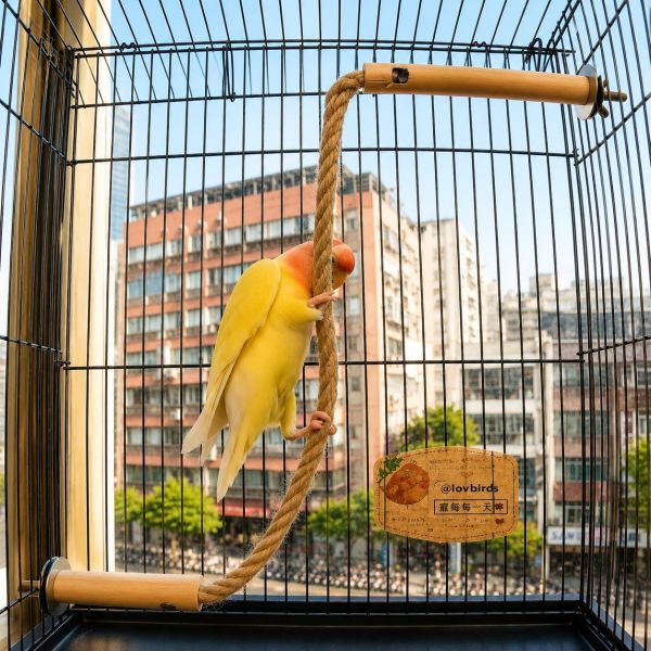 W817 鸚鵡空中纜繩 鸚鵡空中纜繩、鳥籠空中纜繩、鸚鵡棲木、綠繡眼站架　小型鸚鵡玩具、鳥籠站架配件、原木鳥玩具、鸚鵡麻繩站桿、殘疾鳥站台、MY PET BIRD