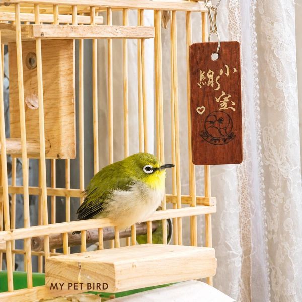 W766 鳥籠門前便利小站台/ 簡單便宜又實用讓鳥寶出入鳥籠更方便 鳥籠
鳥寶
鳥籠站台
小鳥配件
鳥籠附件
鳥籠設備
鳥類用品
鳥籠配件
鳥類生活用品
鳥籠出入口
鳥籠進出口
鳥籠設計
寵鳥用品
鳥類飼養用品
鳥籠周邊商品
鳥類用具
鳥籠實用工具
鳥籠便利小物
鳥籠周邊產品
鳥寶生活配件