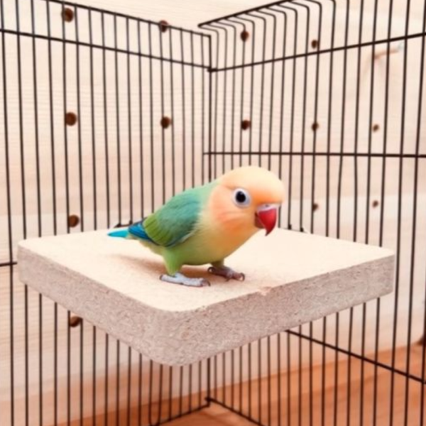 W790 軟木站台：是休息小天地，更是紓壓啃咬玩具 鸚鵡玩具、鳥玩具、小鳥玩具
鸚鵡站台、鳥站台、鸚鵡站板
軟木站台、軟木玩具、軟木塞玩具
磨嘴玩具、啃咬玩具解悶神器：解悶、自嗨、防拔毛、舒緩壓力、消耗體力。

磨喙修整：磨嘴、磨爪、修嘴、天然磨牙。
安全材質：天然木、無毒、安全啃咬、柔軟觸感。
益智開發：益智玩具、互動玩具、攀爬架、籠內造景。