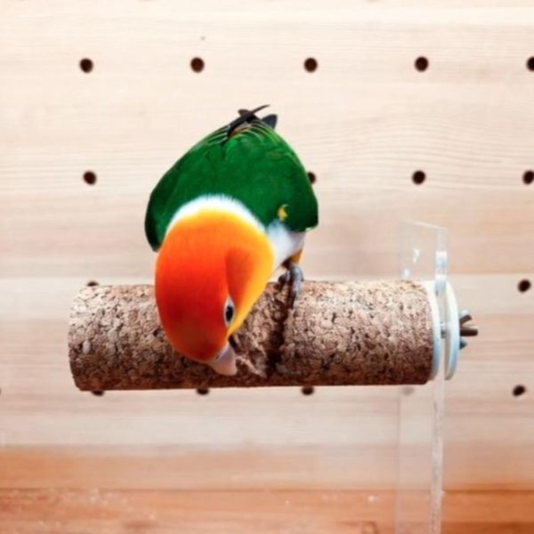 W877 啃咬橡木軟木  給鳥寶雲端般的站立體驗 防咬毛 玩具

鸚鵡解悶 玩具

防啄羽 玩具

鸚鵡磨爪 棒/玩具

鳥寶打發時間 玩具

鸚鵡自嗨 玩具

鳥籠 裝飾 玩具

鸚鵡 智力 開發 玩具