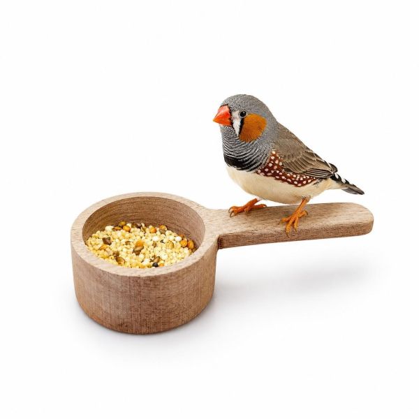 Z100 胡桃木飼料勺 實木飼料勺, 原木飼料匙, 鳥飼料勺, 鸚鵡餵食匙, 文鳥飼料匙, 錦花雀用品, 小鳥用品, 鸚鵡用品, 鳥食勺, 木製飼料勺, 寵物鳥用品, 餵鳥工具, 鳥籠配件, 實木餐具, 原木質感, 天然木製, 高質感鳥用品