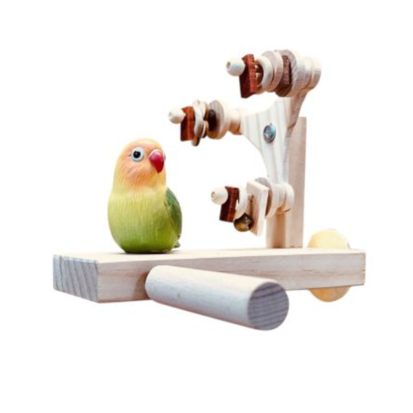 W716愛情鳥摩天輪｜啃咬、互動遊戲一站滿足 文鳥 小鸚 牡丹 白頭翁 麻雀 虎皮 太平洋 玄鳳 小太陽 金太陽 和尚 
鸚鵡玩具 寵物文創 鳥玩具