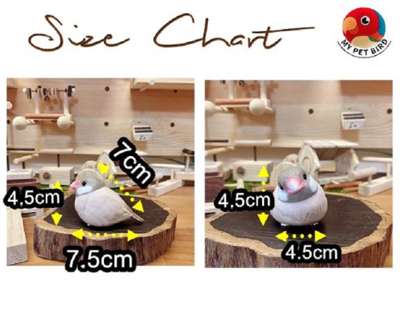 MY PET BIRD  小型鳥環形鞦韆 鳥用鞦韆
小鸚鵡鞦韆
3D立體造型鞦韆
方形支架座鞦韆
鳥類遊戲玩具
鳥類運動器材
室內外適用鳥類鞦韆
容易清洗鳥用鞦韆
鳥類健康促進器材
鳥類樂趣遊戲器材